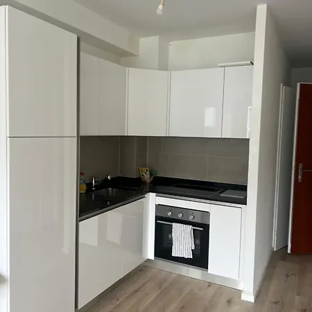 Appartement Sisi Geneva Exterior photo